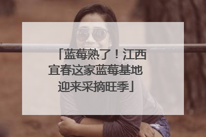 蓝莓熟了！江西宜春这家蓝莓基地迎来采摘旺季