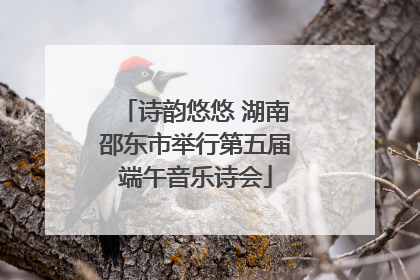 诗韵悠悠 湖南邵东市举行第五届端午音乐诗会