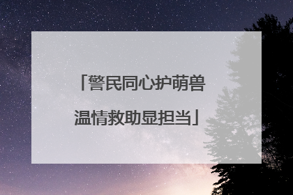 警民同心护萌兽 温情救助显担当