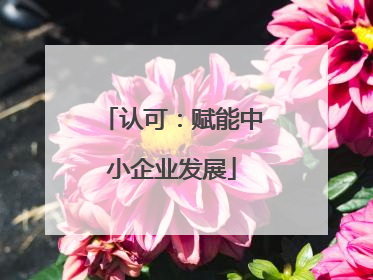 认可：赋能中小企业发展
