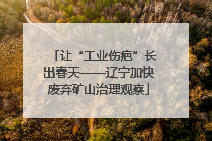 让“工业伤疤”长出春天——辽宁加快废弃矿山治理观察