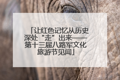 让红色记忆从历史深处“走”出来——第十三届八路军文化旅游节见闻