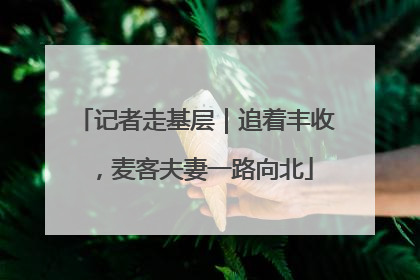 记者走基层｜追着丰收，麦客夫妻一路向北
