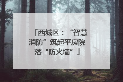 西城区：“智慧消防”筑起平房院落“防火墙”