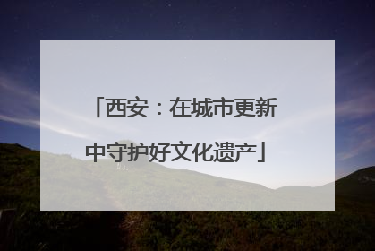 西安：在城市更新中守护好文化遗产