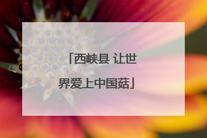 西峡县 让世界爱上中国菇