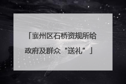 襄州区石桥资规所给政府及群众“送礼”