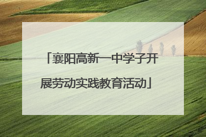 襄阳高新一中学子开展劳动实践教育活动