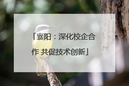 襄阳：深化校企合作 共促技术创新