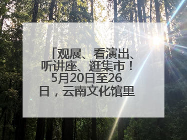 观展、看演出、听讲座、逛集市！5月20日至26日，云南文化馆里玩场多