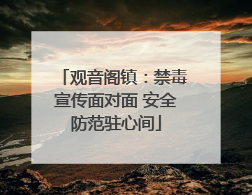 观音阁镇：禁毒宣传面对面 安全防范驻心间