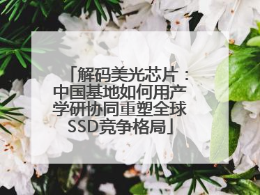 解码美光芯片：中国基地如何用产学研协同重塑全球SSD竞争格局
