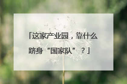 这家产业园，靠什么跻身“国家队”？