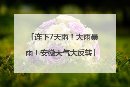 连下7天雨！大雨暴雨！安徽天气大反转