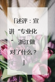 述评：宣讲“专业化” 浙江做对了什么？