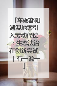 车碾鄱阳湖湿地案引入劳动代偿：生态法治在创新尝试｜有一说一