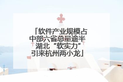 软件产业规模占中部六省总量逾半 湖北“软实力”引来杭州两小龙