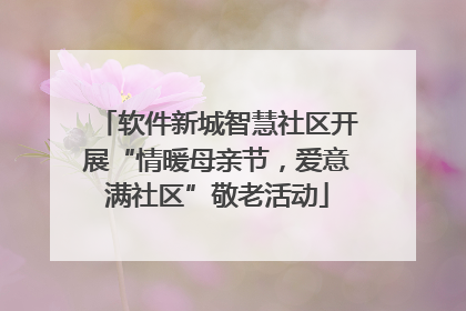 软件新城智慧社区开展“情暖母亲节，爱意满社区”敬老活动