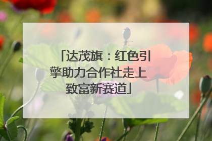 达茂旗：红色引擎助力合作社走上致富新赛道