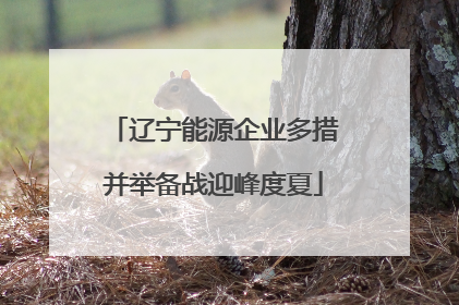 辽宁能源企业多措并举备战迎峰度夏