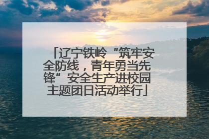 辽宁铁岭“筑牢安全防线，青年勇当先锋”安全生产进校园主题团日活动举行