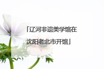 辽河非遗美学馆在沈阳老北市开馆
