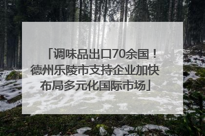 调味品出口70余国！德州乐陵市支持企业加快布局多元化国际市场