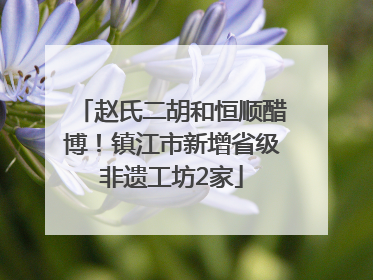 赵氏二胡和恒顺醋博！镇江市新增省级非遗工坊2家