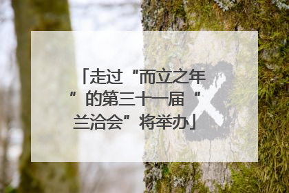 走过“而立之年”的第三十一届“兰洽会”将举办