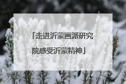 走进沂蒙画派研究院感受沂蒙精神
