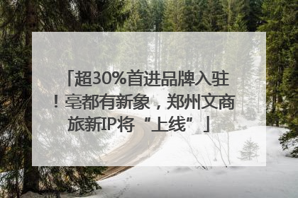 超30%首进品牌入驻！亳都有新象，郑州文商旅新IP将“上线”