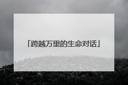 跨越万里的生命对话