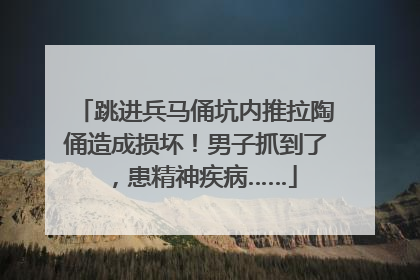 跳进兵马俑坑内推拉陶俑造成损坏！男子抓到了，患精神疾病……
