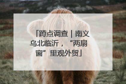 蹲点调查｜南义乌北临沂，“两扇窗”里观外贸