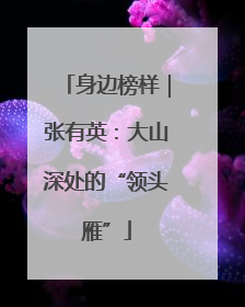 身边榜样｜张有英：大山深处的“领头雁”