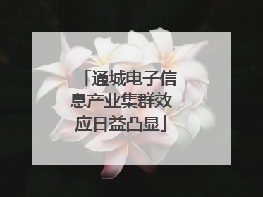 通城电子信息产业集群效应日益凸显