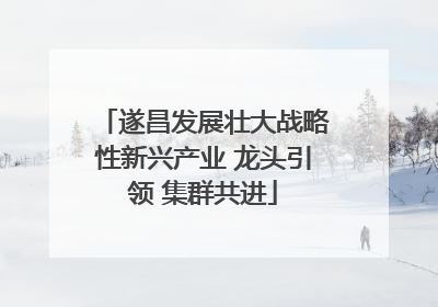 遂昌发展壮大战略性新兴产业 龙头引领 集群共进