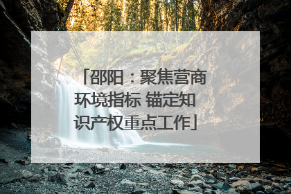 邵阳：聚焦营商环境指标 锚定知识产权重点工作