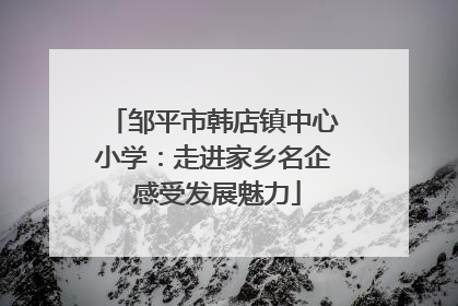 邹平市韩店镇中心小学：走进家乡名企 感受发展魅力