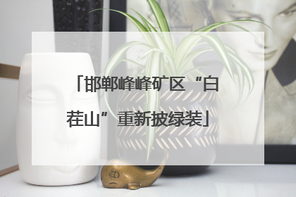 邯郸峰峰矿区“白茬山”重新披绿装