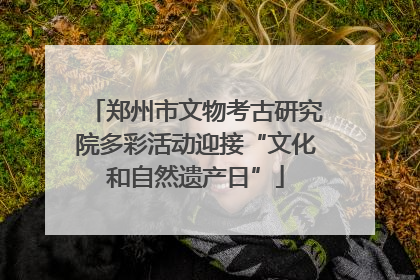 郑州市文物考古研究院多彩活动迎接“文化和自然遗产日”