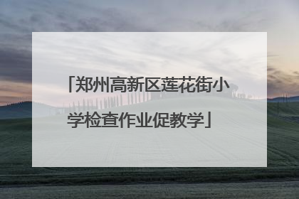 郑州高新区莲花街小学检查作业促教学