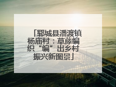 郓城县潘渡镇杨庙村：草藤编织“编”出乡村振兴新图景