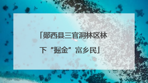 郧西县三官洞林区林下“掘金”富乡民