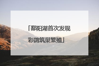 鄱阳湖首次发现彩鹮筑巢繁殖