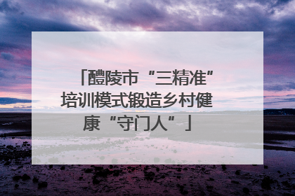 醴陵市“三精准”培训模式锻造乡村健康“守门人”