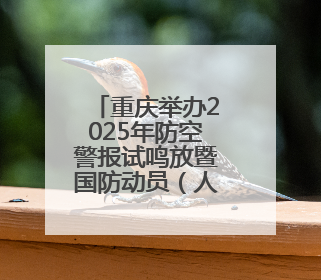重庆举办2025年防空警报试鸣放暨国防动员（人民防空）宣传教育活动