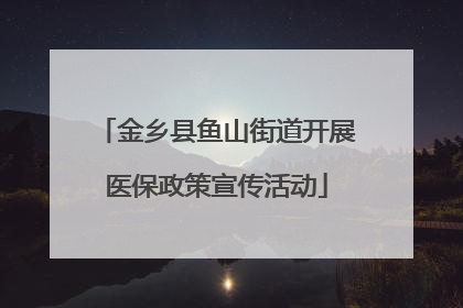 金乡县鱼山街道开展医保政策宣传活动