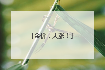 金价，大涨！
