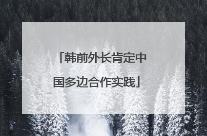 韩前外长肯定中国多边合作实践